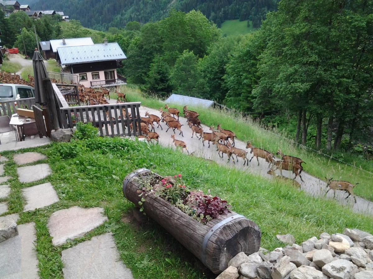 Le Refuge Des Marmottes Villa Arêches Buitenkant foto